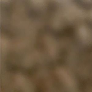 Meet your Posher, Vasudevan